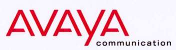 avaya.jpg (5560 Byte)