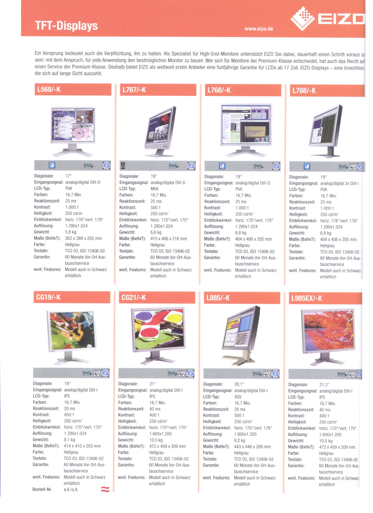 eizotft.jpg (439195 Byte)